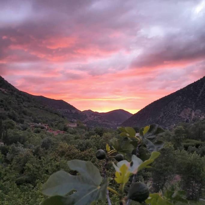 Boutique Guesthouse Dar Zohra Aghbalou Dış mekan fotoğraf